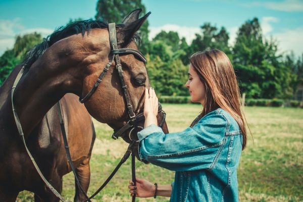 Top 5 des critères pour sélectionner une formation d'équithérapie à Toulouse